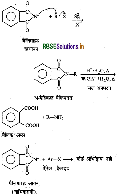 RBSE Solutions for Class 12 Chemistry Chapter  13 ऐमीन 60