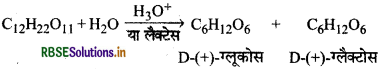 RBSE Solutions for Class 12 Chemistry Chapter 14 जैव-अणु 1