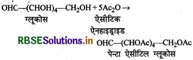 RBSE Solutions for Class 12 Chemistry Chapter 14 जैव-अणु 13