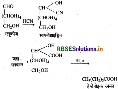 RBSE Solutions for Class 12 Chemistry Chapter 14 जैव-अणु 14