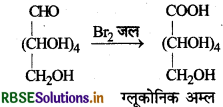 RBSE Solutions for Class 12 Chemistry Chapter 14 जैव-अणु 15