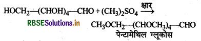 RBSE Solutions for Class 12 Chemistry Chapter 14 जैव-अणु 22