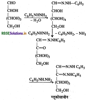 RBSE Solutions for Class 12 Chemistry Chapter 14 जैव-अणु 23