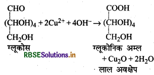 RBSE Solutions for Class 12 Chemistry Chapter 14 जैव-अणु 24