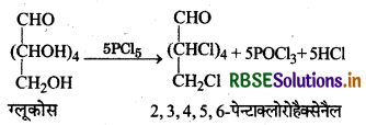 RBSE Solutions for Class 12 Chemistry Chapter 14 जैव-अणु 26