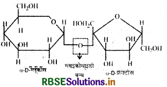 RBSE Solutions for Class 12 Chemistry Chapter 14 जैव-अणु 3