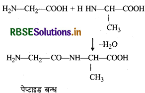 RBSE Solutions for Class 12 Chemistry Chapter 14 जैव-अणु 34