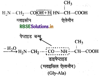 RBSE Solutions for Class 12 Chemistry Chapter 14 जैव-अणु 35