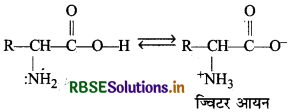 RBSE Solutions for Class 12 Chemistry Chapter 14 जैव-अणु 37