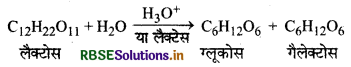 RBSE Solutions for Class 12 Chemistry Chapter 14 जैव-अणु 5