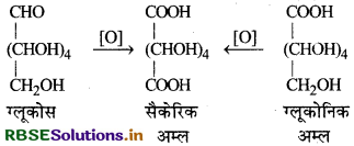 RBSE Solutions for Class 12 Chemistry Chapter 14 जैव-अणु 9