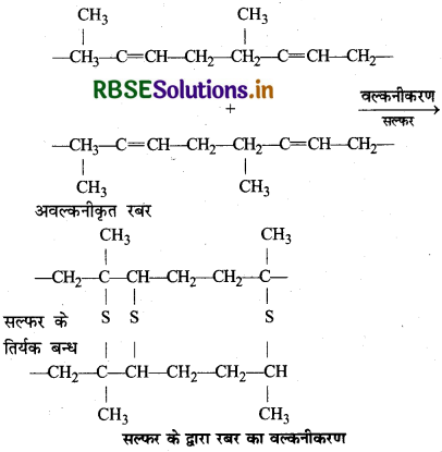 RBSE Solutions for Class 12 Chemistry Chapter 15 बहुलक 11