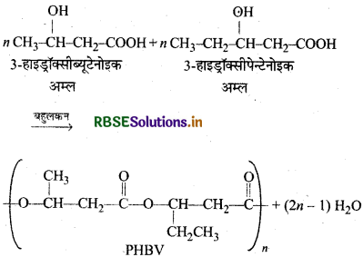 RBSE Solutions for Class 12 Chemistry Chapter 15 बहुलक 15