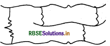 RBSE Solutions for Class 12 Chemistry Chapter 15 बहुलक 3