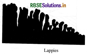 RBSE Solutions for Class 11 Geography Chapter 7 Landforms and their Evolution 13