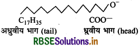 RBSE Solutions for Class 12 Chemistry Chapter Chapter 16 दैनिक जीवन में रसायन 7