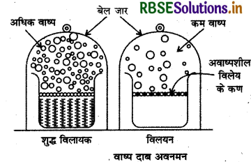 RBSE Class 12 Chemistry Important Questions Chapter 2 विलयन 13