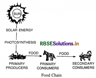 RBSE Solutions for Class 11 Geography Chapter 15 Life on the Earth 1