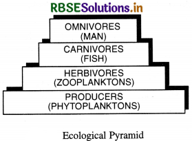 RBSE Solutions for Class 11 Geography Chapter 15 Life on the Earth 2