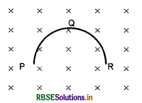 RBSE Class 11 Physics Important Questions Chapter 6 वैद्युत चुंबकीय प्रेरण 19