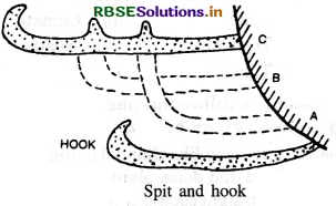 RBSE Class 11 Geography Important Questions Chapter 7 Landforms and their Evolution 6