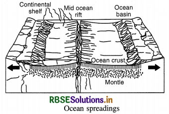 RBSE Class 11 Geography Important Questions Chapter Chapter 4 Distribution of Oceans and Continents 1