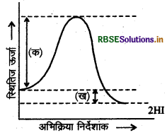 RBSE Class 12 Chemistry Important Questions Chapter 4 रासायनिक बलगतिकी 9