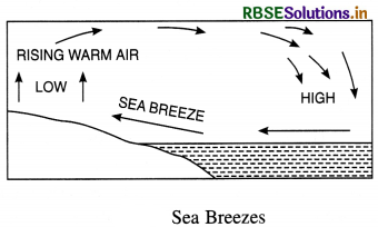 RBSE Class 11 Geography Important Questions Chapter 10 Atmospheric Circulation and Weather Systems 2