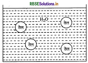 RBSE Class 12 Chemistry Important Questions Chapter  5 पृष्ठ रसायन 16