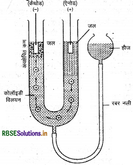 rbse class 12 chemistry important questions chapter 5 18