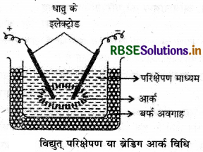 RBSE Class 12 Chemistry Important Questions Chapter  5 पृष्ठ रसायन 3