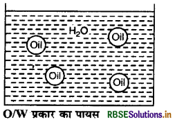 RBSE Class 12 Chemistry Important Questions Chapter  5 पृष्ठ रसायन 30