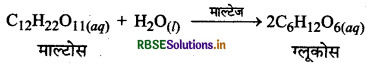 RBSE Class 12 Chemistry Important Questions Chapter  5 पृष्ठ रसायन 33