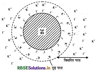 RBSE Class 12 Chemistry Important Questions Chapter  5 पृष्ठ रसायन 39
