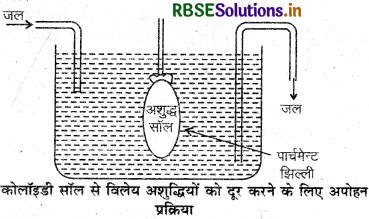 RBSE Class 12 Chemistry Important Questions Chapter  5 पृष्ठ रसायन 4