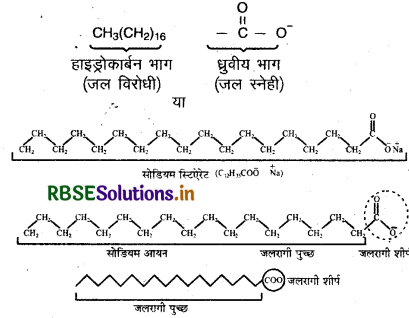 RBSE Class 12 Chemistry Important Questions Chapter  5 पृष्ठ रसायन 41