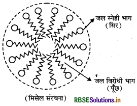RBSE Class 12 Chemistry Important Questions Chapter  5 पृष्ठ रसायन 42