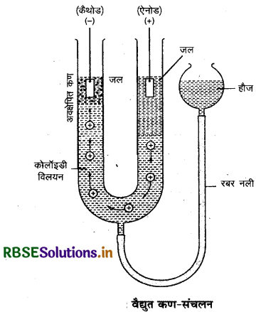 RBSE Class 12 Chemistry Important Questions Chapter  5 पृष्ठ रसायन 49