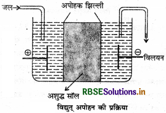 RBSE Class 12 Chemistry Important Questions Chapter  5 पृष्ठ रसायन 5