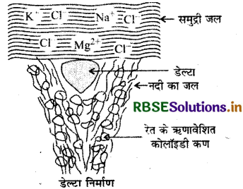 RBSE Class 12 Chemistry Important Questions Chapter  5 पृष्ठ रसायन 50