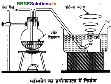 RBSE Class 12 Chemistry Important Questions Chapter 7 p-ब्लॉक के तत्व44