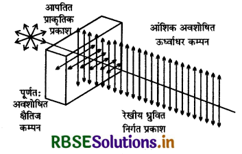 RBSE Class 12 Physics Important Questions Chapter 10 तरंग-प्रकाशिकी 9