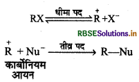 RBSE Class 12 Chemistry Important Questions Chapter 10 हैलोऐल्केन तथा हैलोऐरीन 34