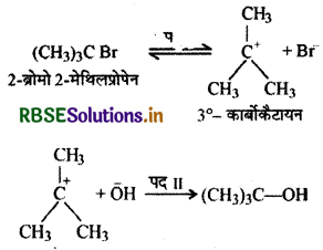 RBSE Class 12 Chemistry Important Questions Chapter 10 हैलोऐल्केन तथा हैलोऐरीन 35