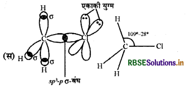 RBSE Class 12 Chemistry Important Questions Chapter 10 हैलोऐल्केन तथा हैलोऐरीन 41