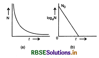 RBSE Class 12 Physics Important Questions Chapter 13 नाभिक 12
