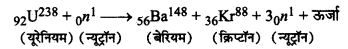 RBSE Class 12 Physics Important Questions Chapter 13 नाभिक 16