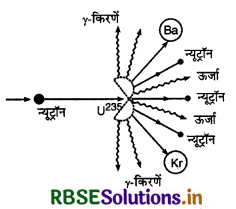 RBSE Class 12 Physics Important Questions Chapter 13 नाभिक 17