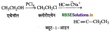 RBSE Class 12 Chemistry Important Questions Chapter 10 हैलोऐल्केन तथा हैलोऐरीन 101