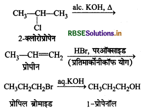 RBSE Class 12 Chemistry Important Questions Chapter 10 हैलोऐल्केन तथा हैलोऐरीन 113